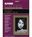 Ilford Galerie Gold Fibre Silk Paper (A4 - 10 Sheets)